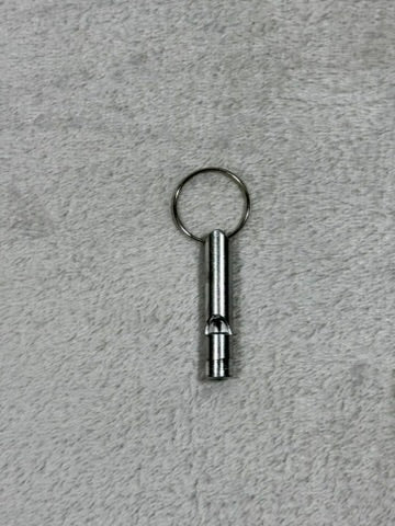 Whistle